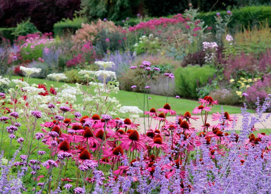 A charming garden path surrounded by diverse wildflowers, creating a serene and inviting atmosphere.  https://homefortheharvest.com/wildflower-garden-ideas/