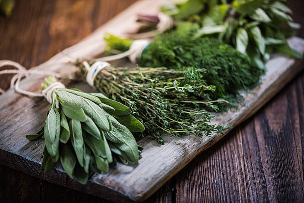 Make Your Own Herbal Bug Spray (From Garden to Bottle)