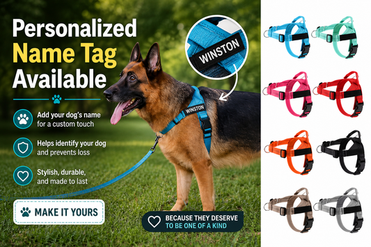 Personalized Reflective Dog Harness - Stop Pulling in Just a Few Walks
