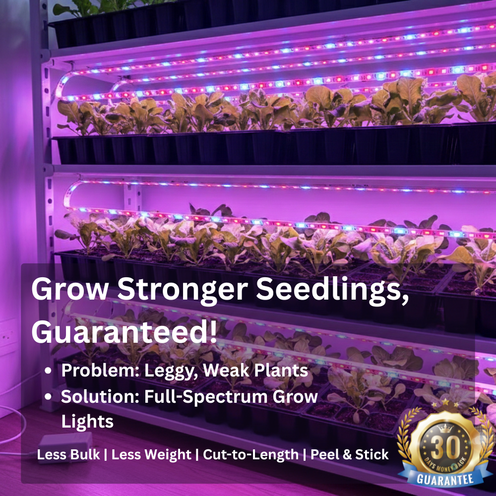 Full Spectrum Seedling Grow Strip