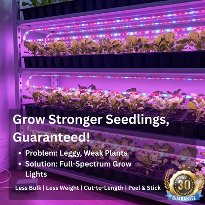 Full Spectrum Seedling Grow Strip
