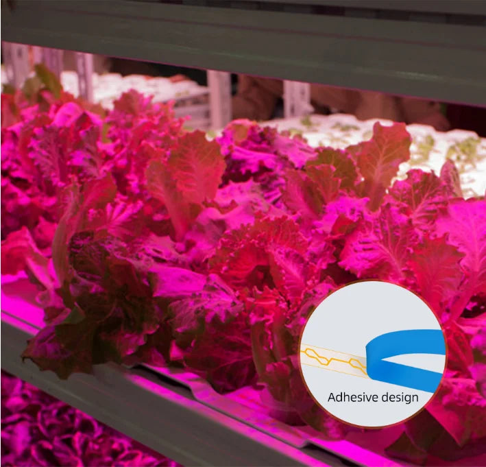 Full Spectrum Seedling Grow Strip