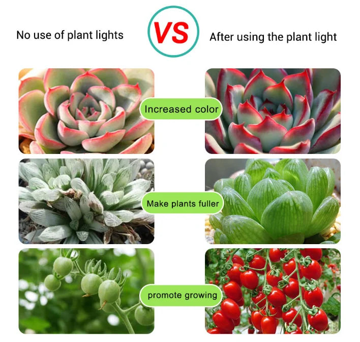 Full Spectrum Seedling Grow Strip