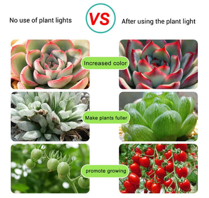 Full Spectrum Seedling Grow Strip