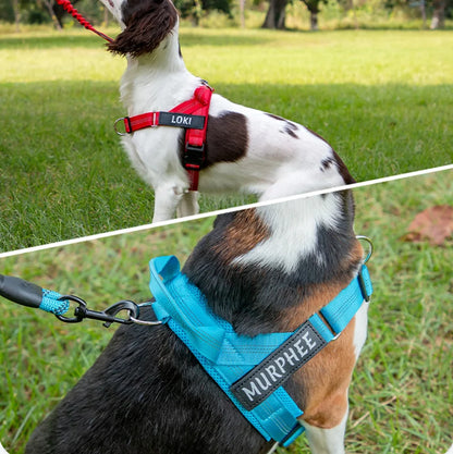 Personalized Reflective Dog Harness - Stop Pulling in Just a Few Walks
