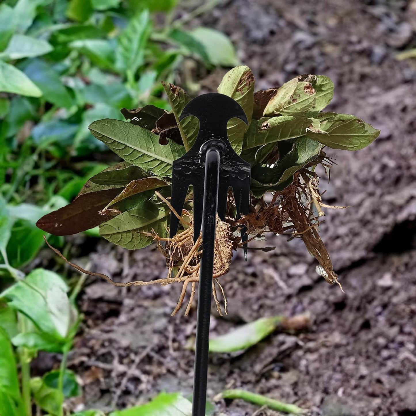 Weed Buster Gardening Tool